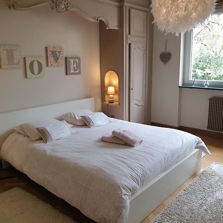 La Tour De L'Ill Villa Strasbourg Kültér fotó