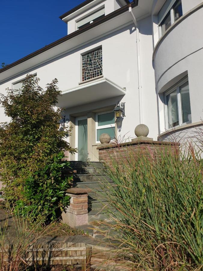 La Tour De L'Ill Villa Strasbourg Kültér fotó