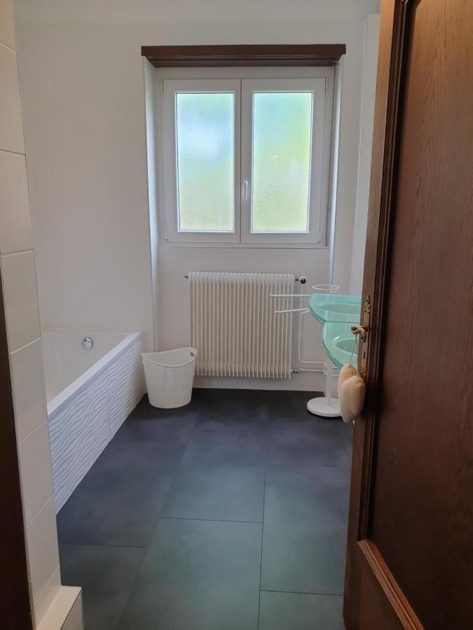 La Tour De L'Ill Villa Strasbourg Kültér fotó